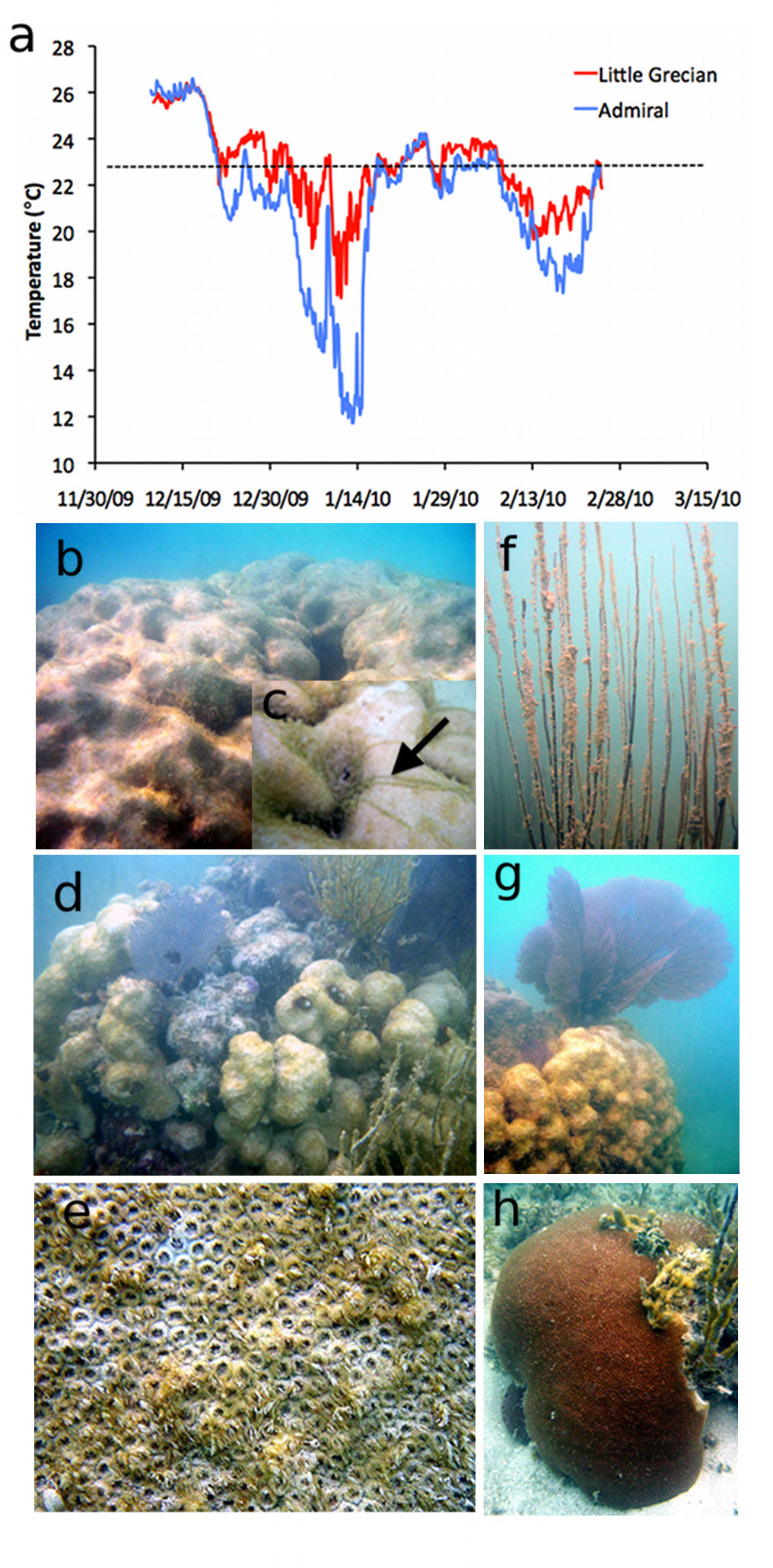 UGA-Admiral-Reef_temperature_Fig1[1] – Watts Up With That?