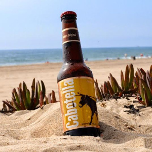 Cabotella beach beer, author Jordan Gardenhire, source Wikimedia