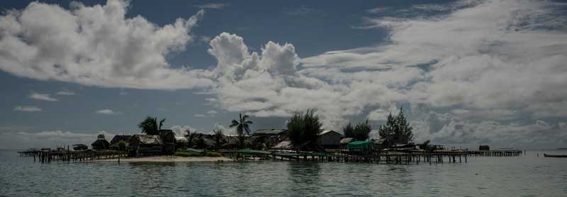 seaweed_kings_island