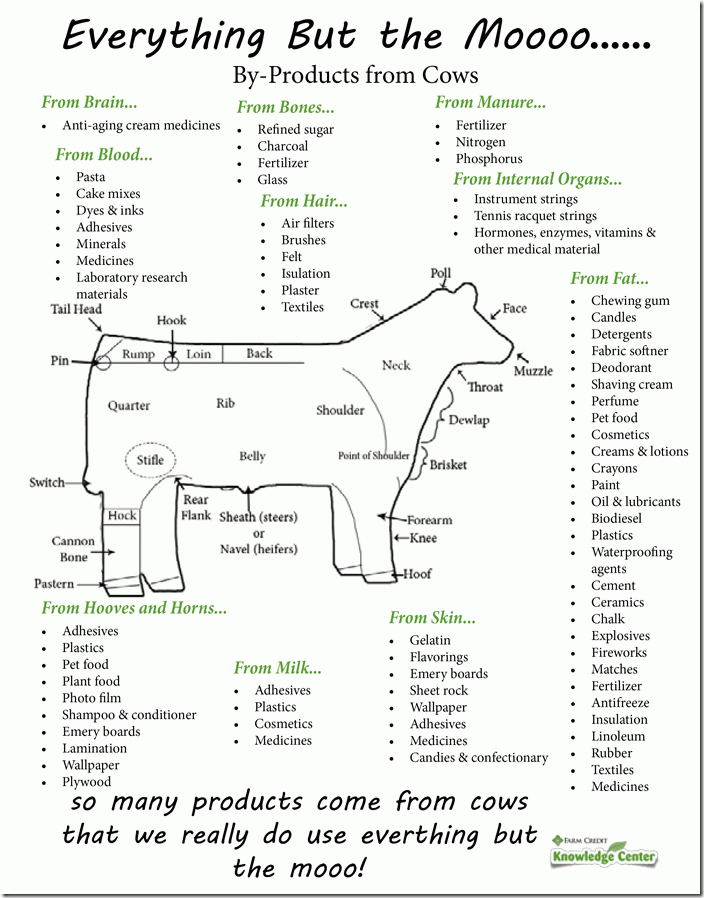Everything-But-the-Moo Everything-But-the-Moo