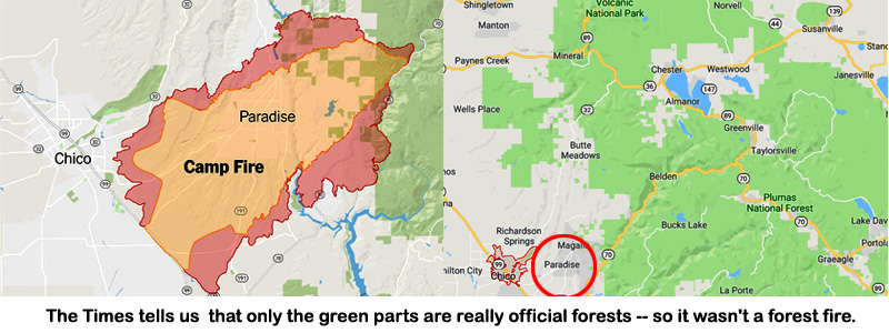 Not_offical_forest