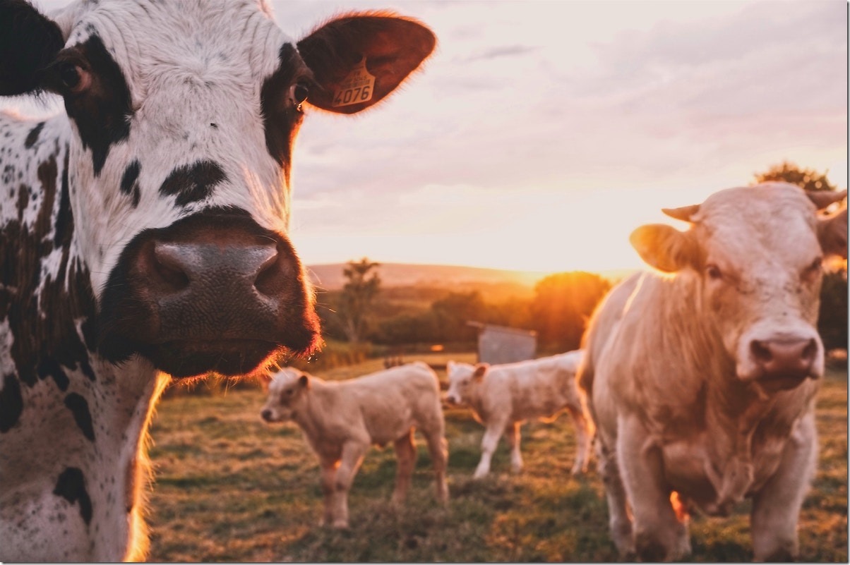 stijn-te-strake-316914-unsplash stijn-te-strake-316914-unsplash