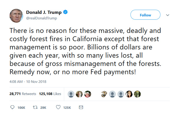 the_tweet