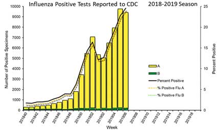 2018-2019_flu_season_featur
