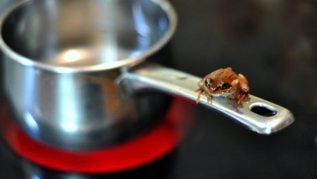 Boiling Frog