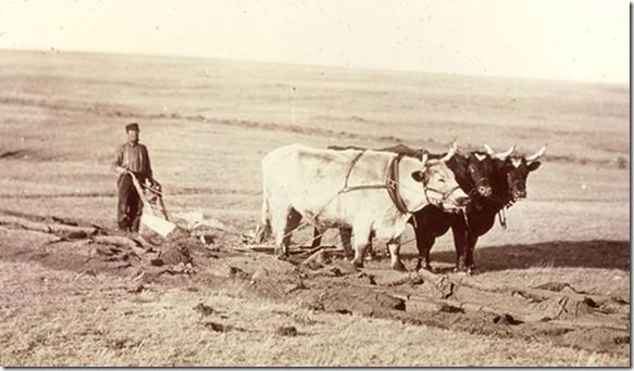clip_image008