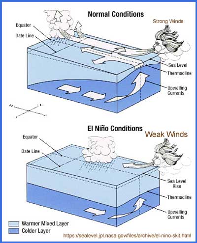 el_Nino_winds