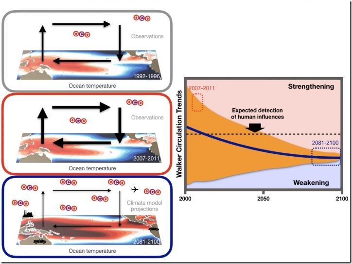 Normal conditions (top), strengthening due to natural variability (middle) and weakening due to greenhouse warming (bottom). Black arrows represent horizontal and vertical winds with the shading on the background map illustrating ocean temperatures. Over the past few decades, natural variability has strengthened the Pacific Walker circulation leading to enhanced cooling in the equatorial central-to-eastern Pacific (middle). Climate models forced by increasing greenhouse gas concentrations simulate weakening of the Walker circulation (bottom). (Right) Temporal evolution of model-simulated Walker circulation trends, with the dark blue line and orange shading denoting anthropogenically-induced changes and the impact of natural processes, respectively. Credit IBS