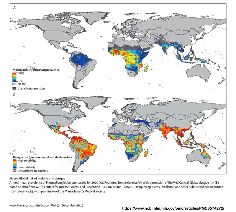 malaria_and_dengue-environm