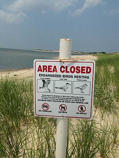 piper_nest_area_400