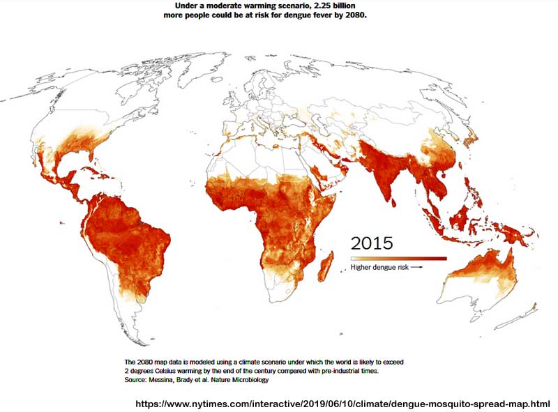 projected_dengue_2080