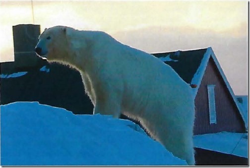 bear-island-8-march-2019_first-bear-seen-since-2011_bjc3b8rnc3b8ya-meteorological-station-photo-svalbardposten