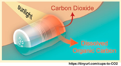 cups_to_CO2
