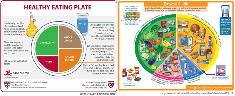 food_guidelines_chan_uk
