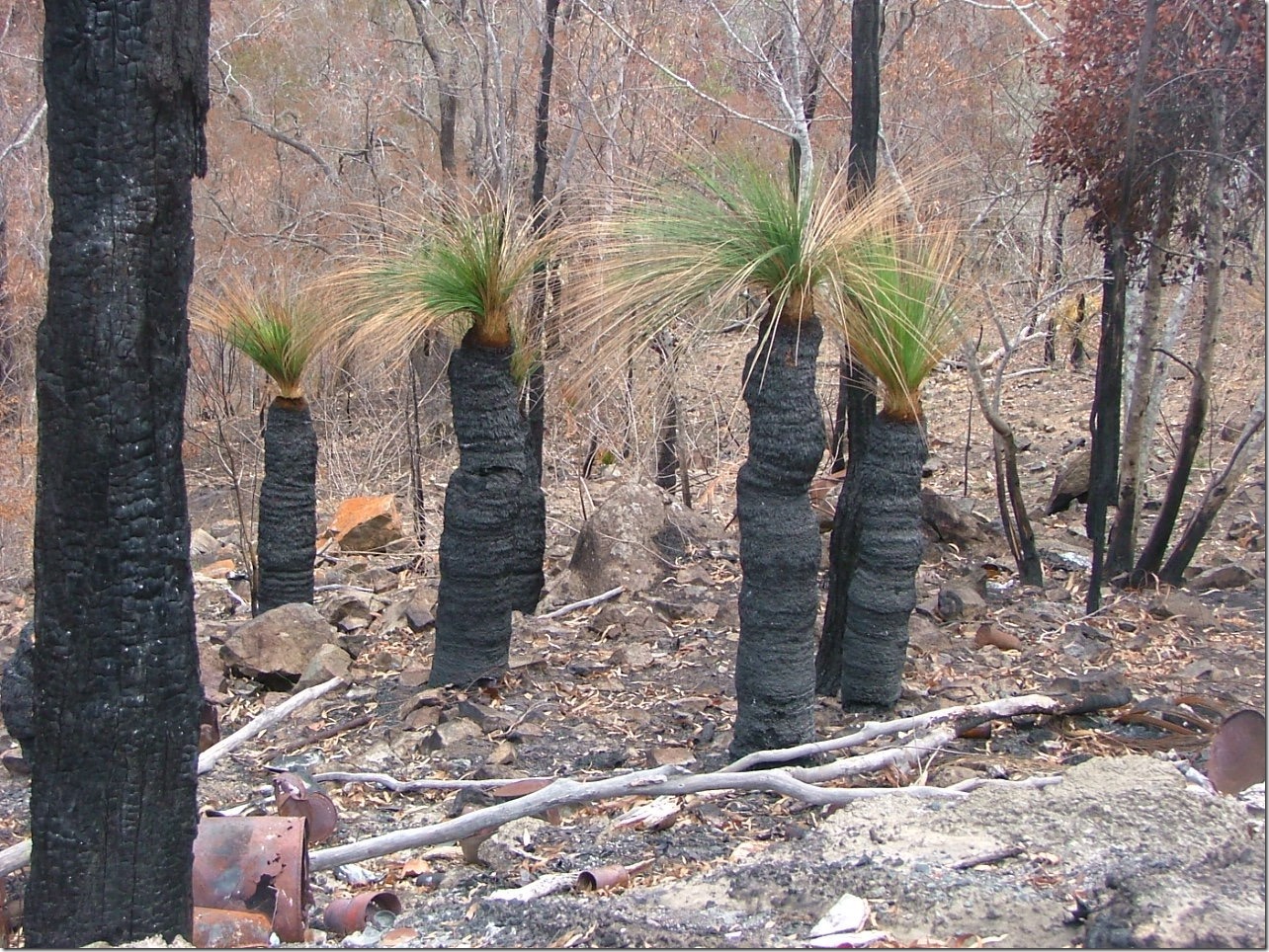 Jan2003