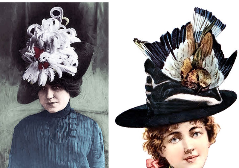 feather-hats