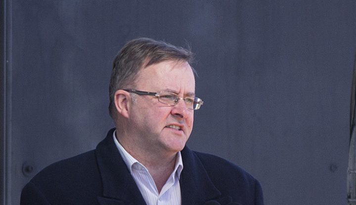 Anthony Albanese