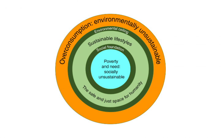 Sustainable Lifestyles