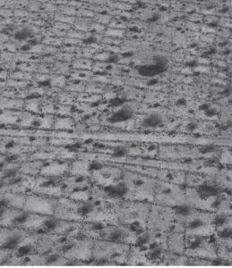 72189030-5AEB-4C9A-827B-241C40C2645A.jpeg