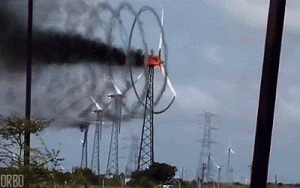 D6508972-ECF4-43A0-B825-DBC061F86003.gif