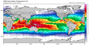 Screen Shot 2021-01-30 at 11.25.37 am.png