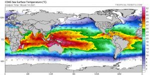 cdas-sst... 1 14 21.png