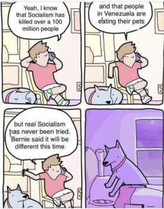 Dog-pillow Bernie.png