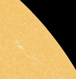 Screen Shot 2021-02-03 at 1.15.06 PM copy.jpg