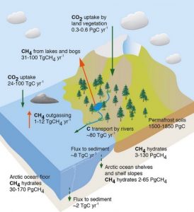 Figure61_AR5FAQChap6.jpg