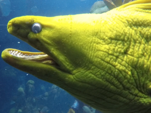 07306599-8CBE-491D-AB10-70E6AD938668.png