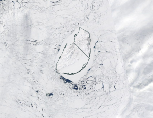 Wrangel island April 2021.png