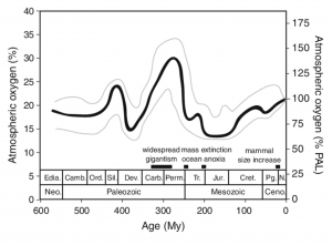 Screen Shot 2021-05-29 at 10.37.12 PM.png