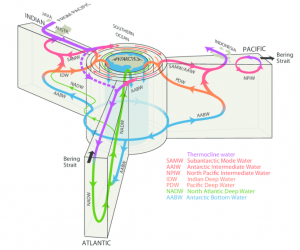 Antarctic grand central station THC.PNG