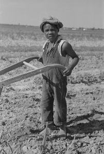 New-Madrid-Missourit-son-of-sharecropper-cultivating-cotton-field-by-Photographer-Russell-Lee-1938.jpg