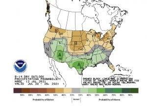Precip072021.jpg
