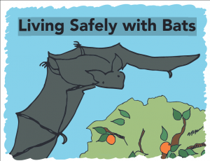 Screenshot 2021-07-21 at 18-51-59 Living-Safely-with-Bats_download pdf.png