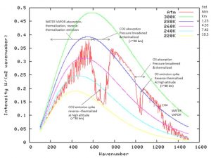TOA with BB (CC & bar).jpg