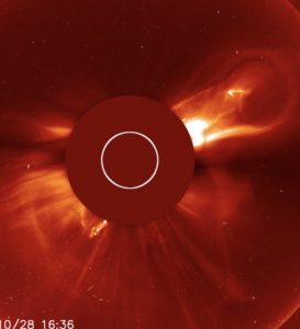 Screen Shot 2021-10-29 at 11.47.13 AM copy.jpg