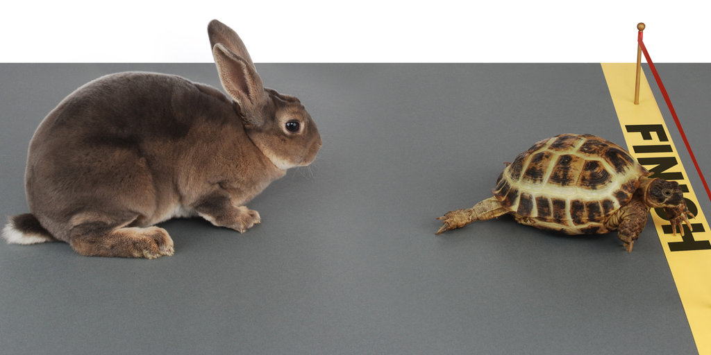 turtle winning the race against a rabbit – Watts Up With That?