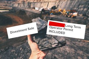 Fake Divestment Sale