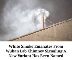 2875C322-4AF1-4181-83B7-843CEF6B13C1.jpeg