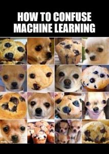 4793905E-14F4-42FB-A0F8-705E02F766B7.jpeg