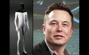 Elon Musk Teslabot