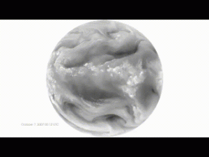Earth Observatory - Water Vapor Animation2.gif