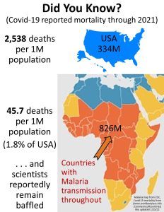 Did You Know 2021 - M.jpg