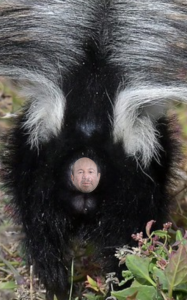SkunkMann.png