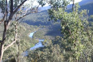 Snowy River from McKillops Road