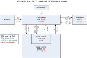 14co2_distri_1960.jpg
