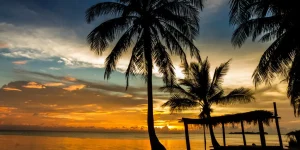 tropical beach sunset