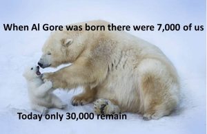 E2DF9F1B-428E-4C09-98C2-C4258E2231E3.jpeg